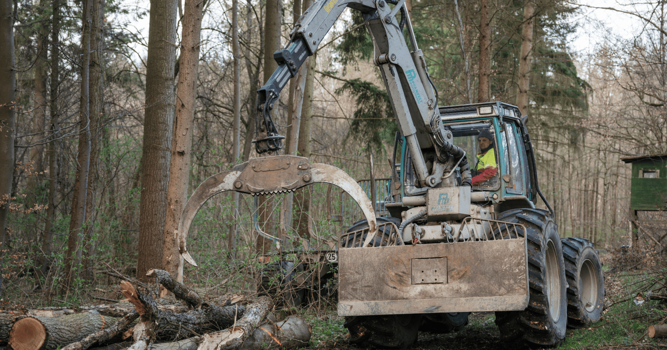 Forstmaschine mit Holzgreifer bei Arbeiten im Wald