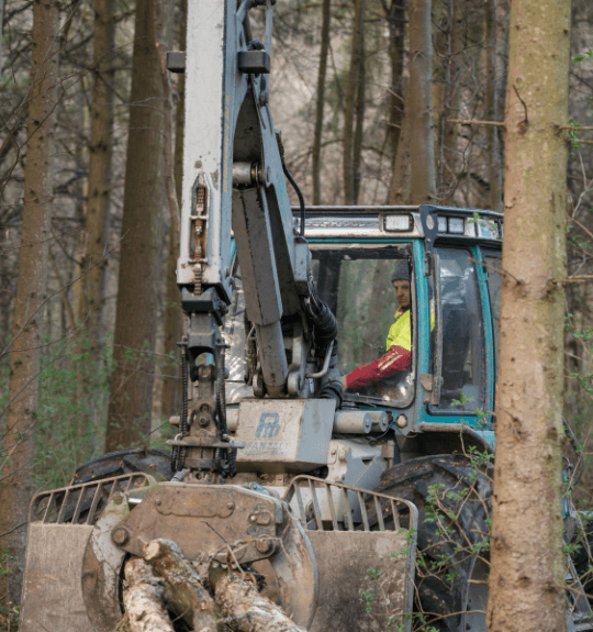 Forstmaschine mit Greifer bei der Holzrückung im Wald