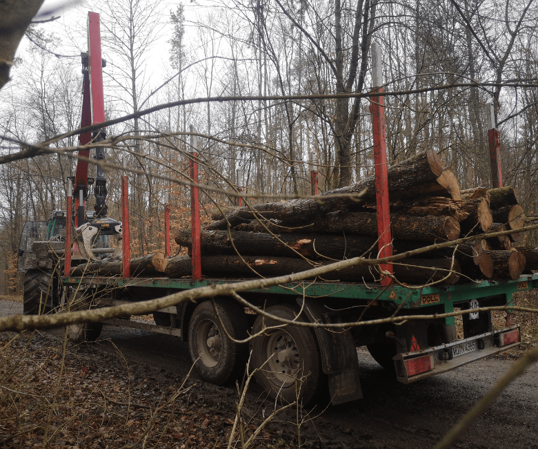 Holzstämme auf Transportanhänger im Wald