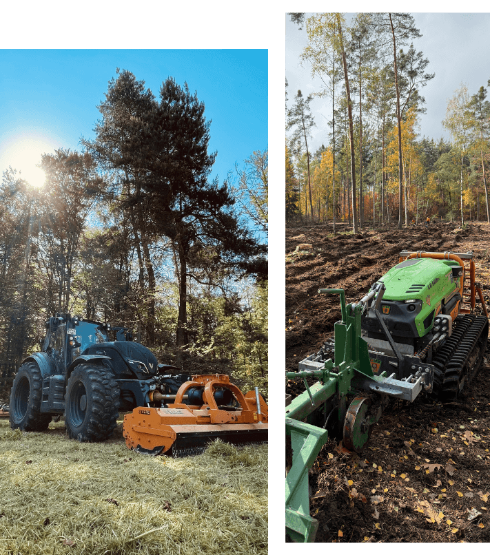 Forstmaschinen bei einem Arbeitseinsatz im Wald