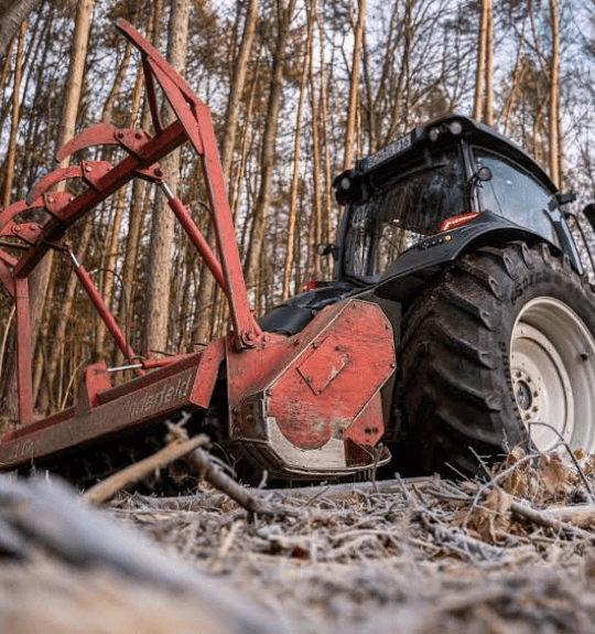 Mulcher im Einsatz bei der Waldpflege