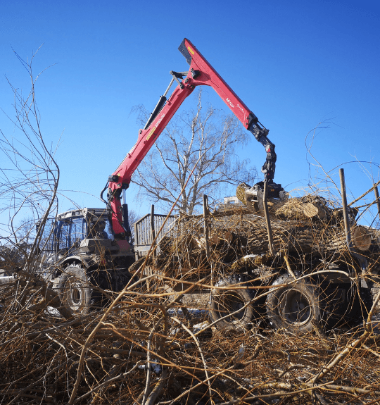 Holzrückung mit moderner Forsttechnik